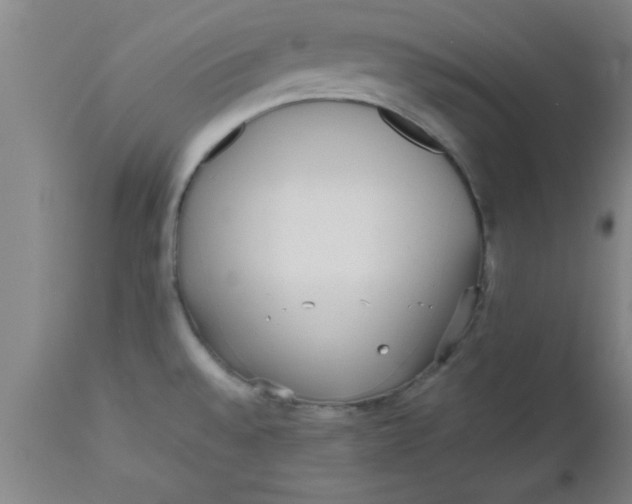 X0000112531528200909071346