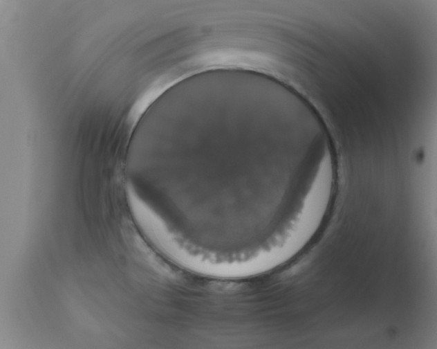 X0000112531529200909071346