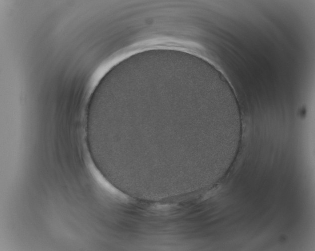 X0000112531531200909071346