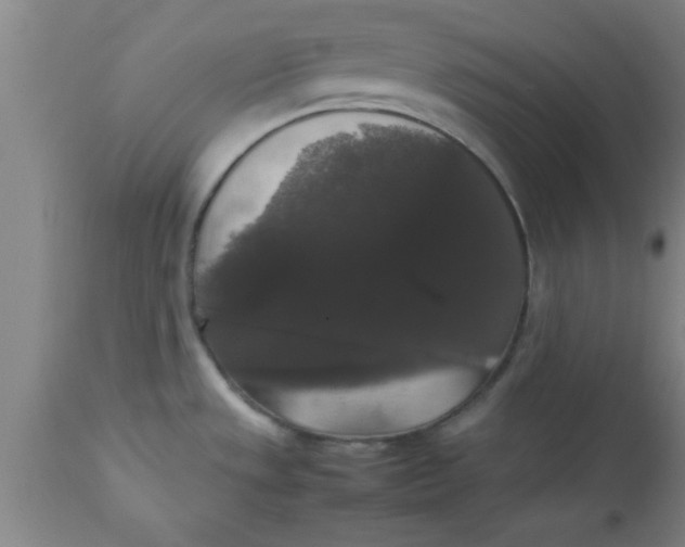 X0000112531533200909071346