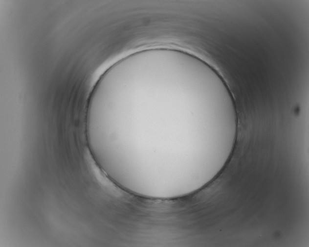 X0000112531534200909071346