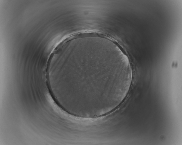 X0000112530002200909141259