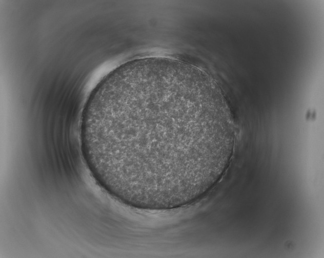 X0000112530006200909141259