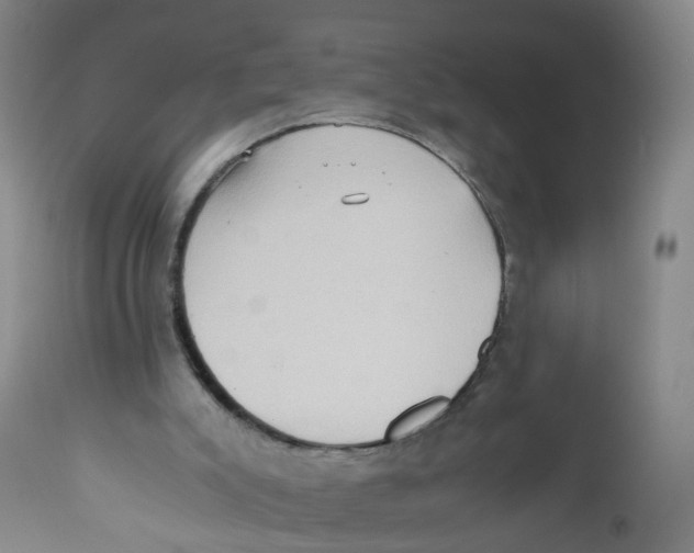 X0000112530007200909141259