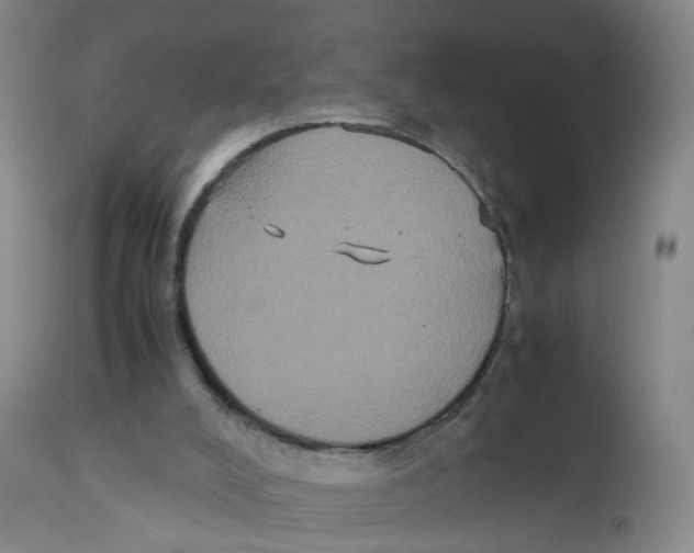 X0000112530008200909141259