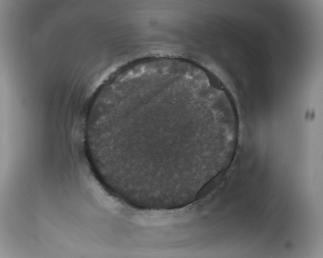 X0000112530009200909141259