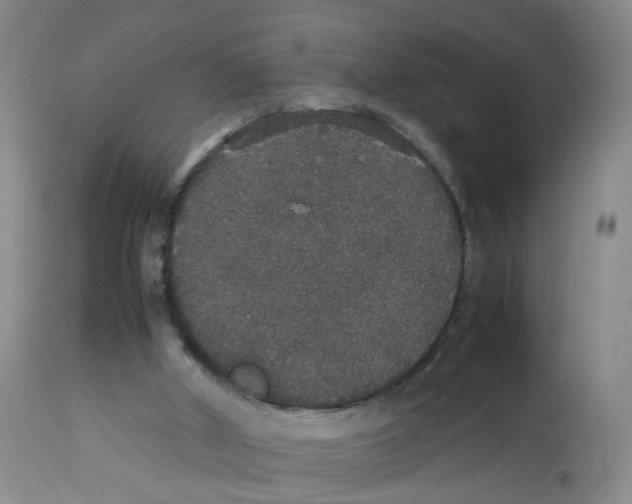 X0000112530010200909141259