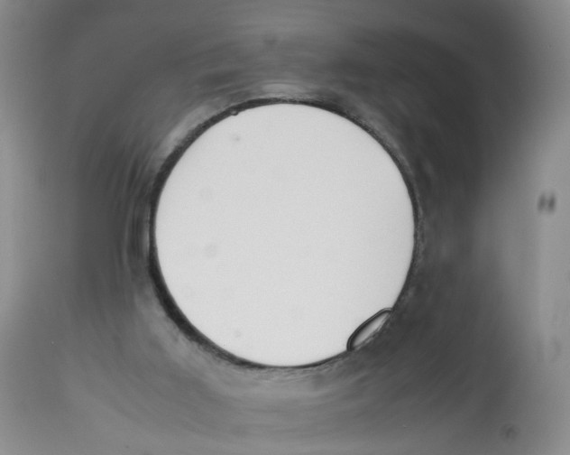 X0000112530011200909141259