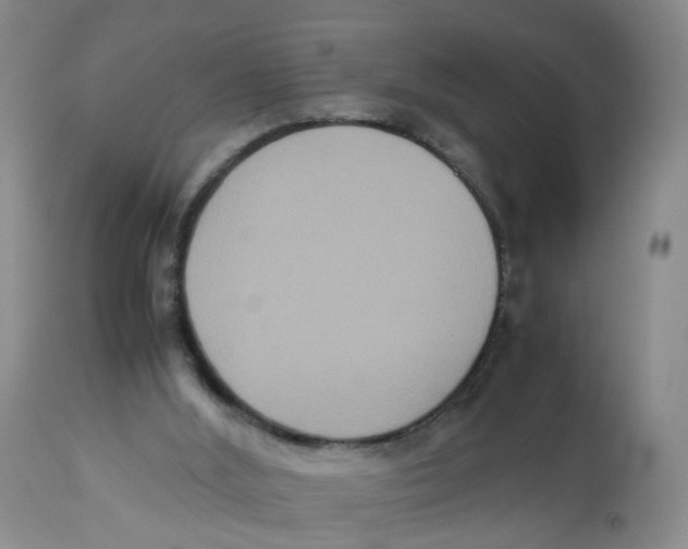 X0000112530012200909141259