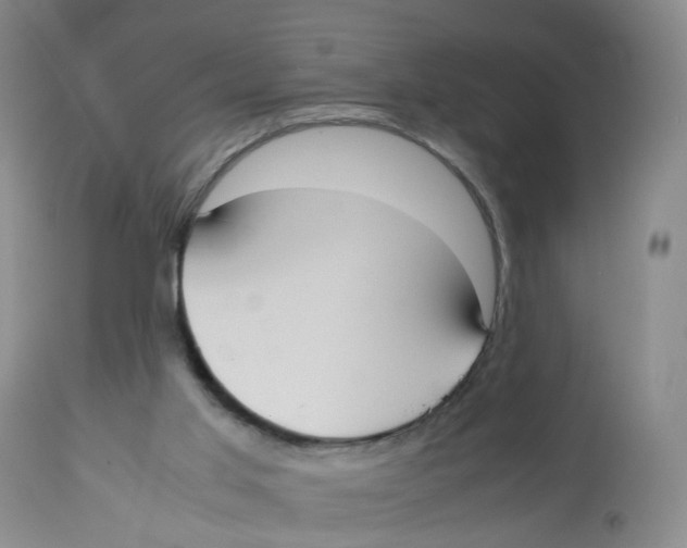 X0000112530013200909141259