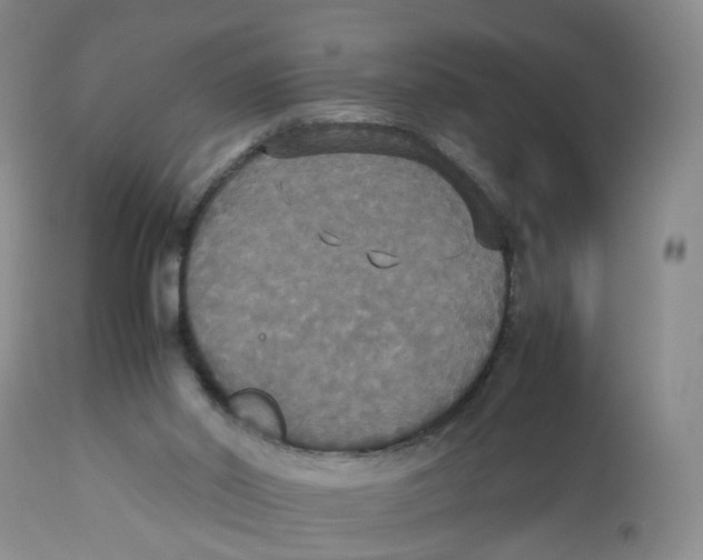 X0000112530014200909141259