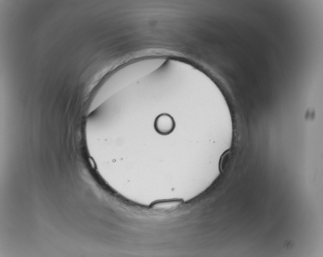 X0000112530015200909141259