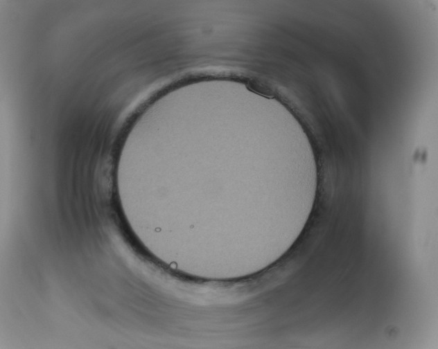 X0000112530016200909141259