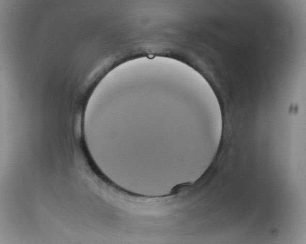 X0000112530019200909141259