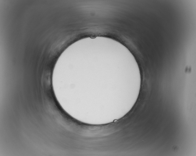 X0000112530021200909141259