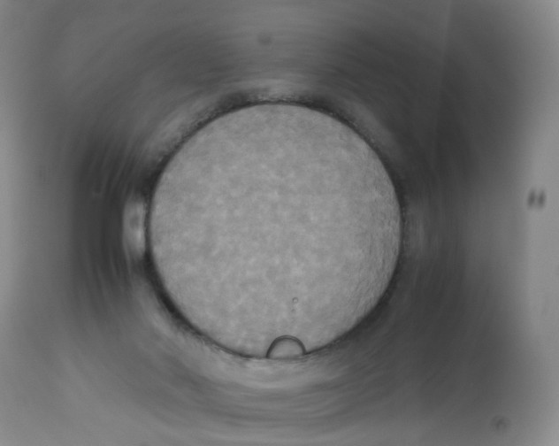 X0000112530022200909141259