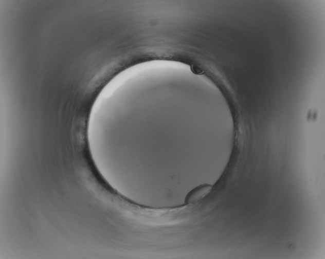 X0000112530023200909141259