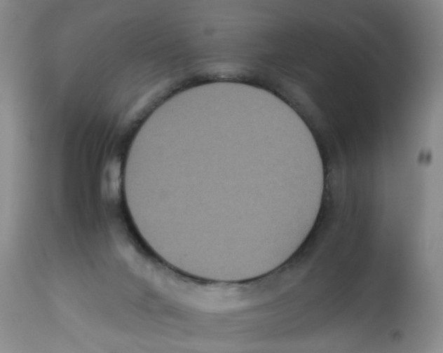 X0000112530024200909141259