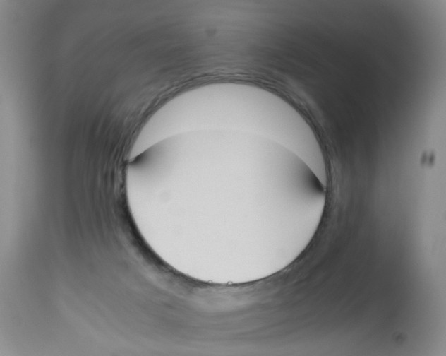 X0000112530025200909141259