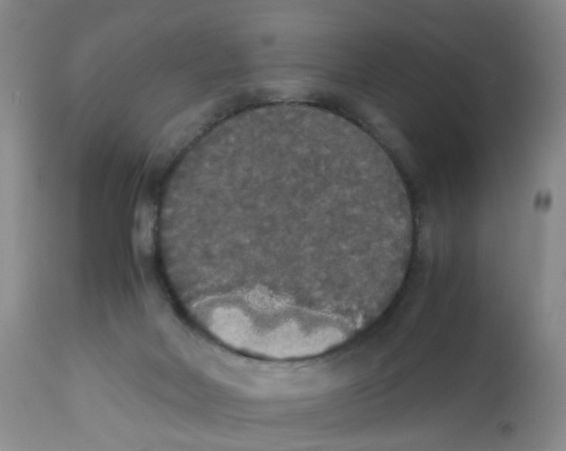 X0000112530026200909141259