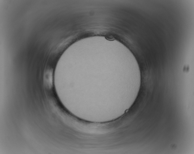 X0000112530028200909141259