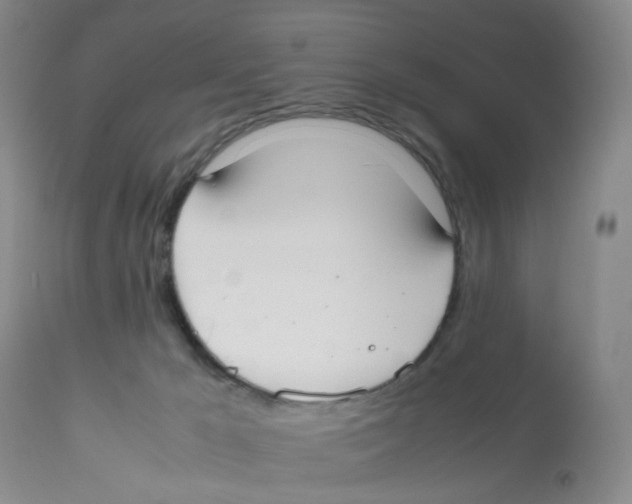 X0000112530029200909141259