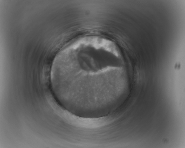 X0000112530030200909141259