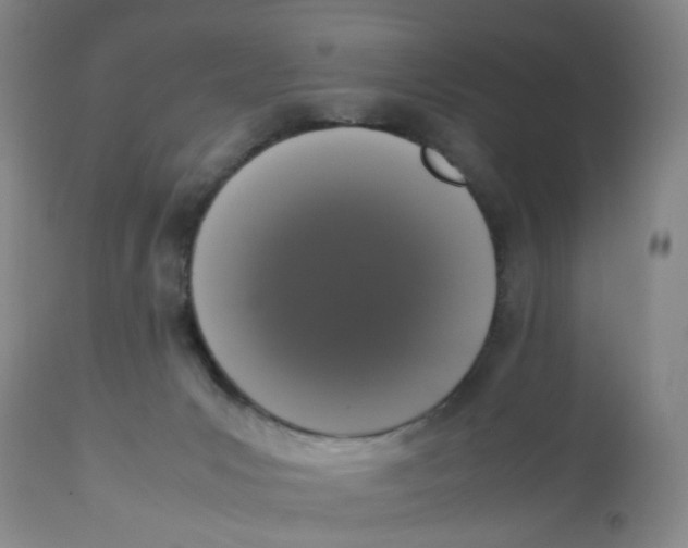 X0000112530031200909141259