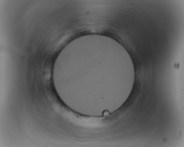 X0000112530032200909141259