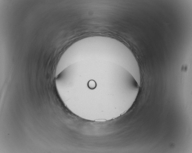 X0000112530033200909141259