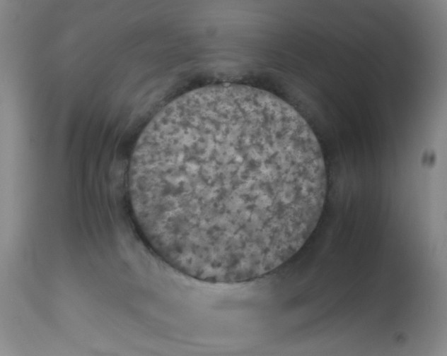 X0000112530034200909141259