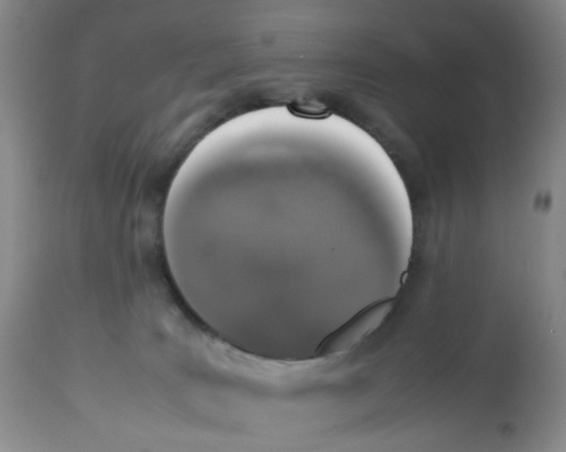 X0000112530035200909141259