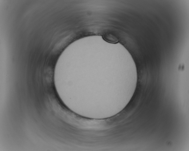 X0000112530036200909141259