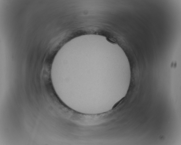 X0000112530037200909141259