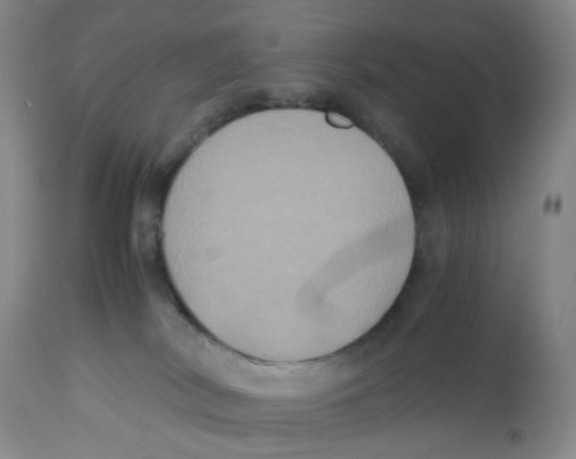 X0000112530038200909141258