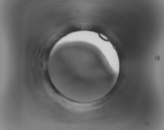 X0000112530039200909141258