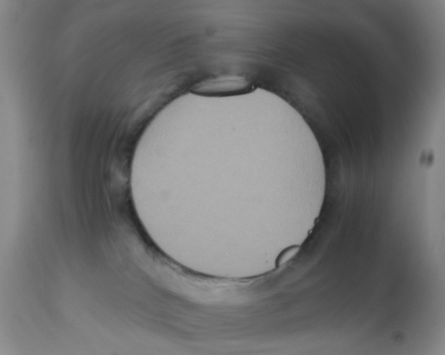 X0000112530040200909141258