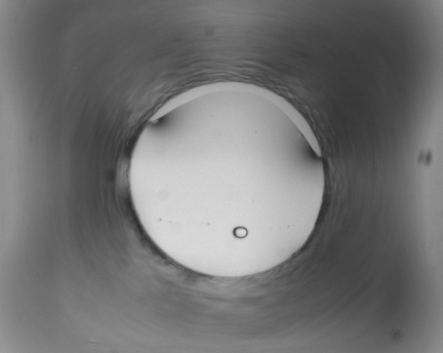 X0000112530041200909141258