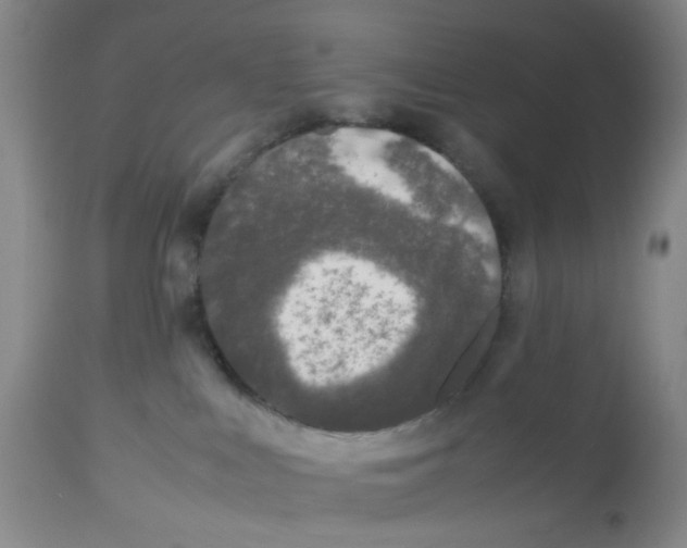 X0000112530043200909141258