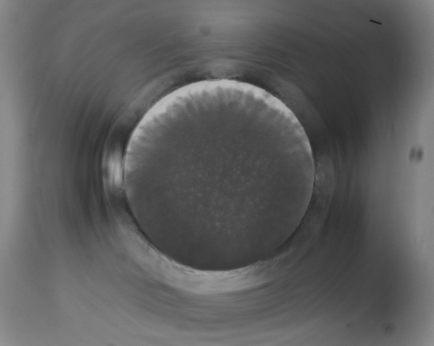 X0000112530046200909141258