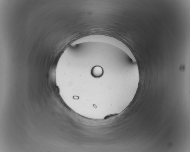 X0000112530047200909141258