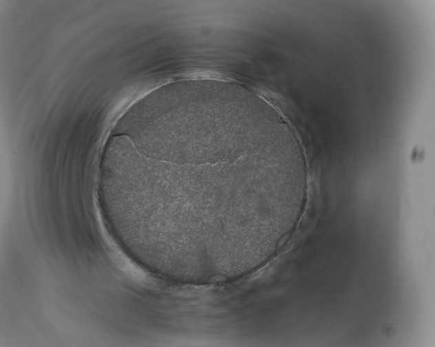 X0000112530049200909141257