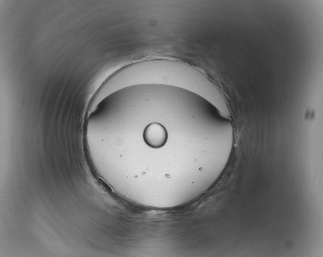 X0000112530052200909141257