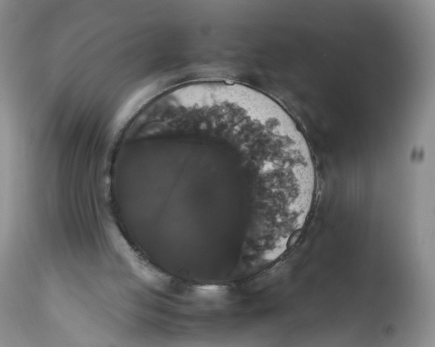 X0000112530053200909141257