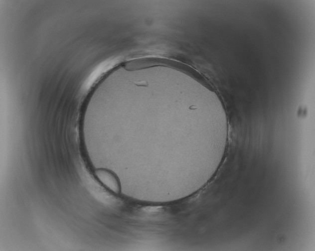 X0000112530054200909141257