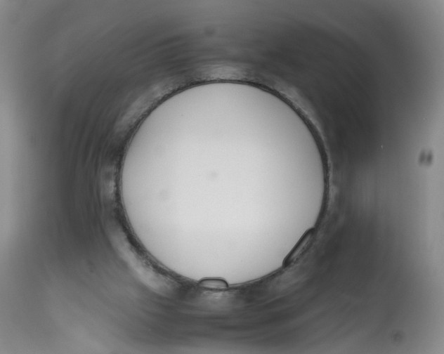 X0000112530057200909141257