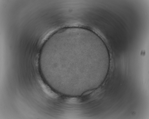 X0000112530058200909141257