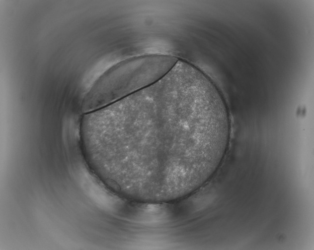 X0000112530060200909141257