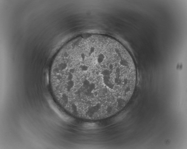 X0000112530061200909141257