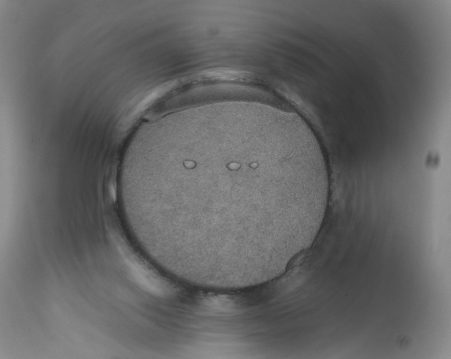 X0000112530062200909141257